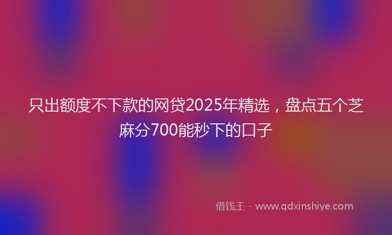 只出额度不下款的网贷2025年精选，盘点五个芝麻分700能秒下的口子