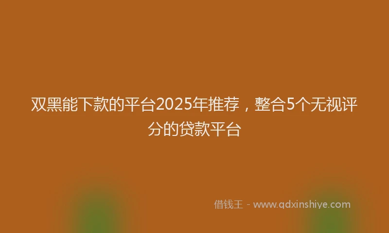双黑能下款的平台2025年推荐，整合5个无视评分的贷款平台