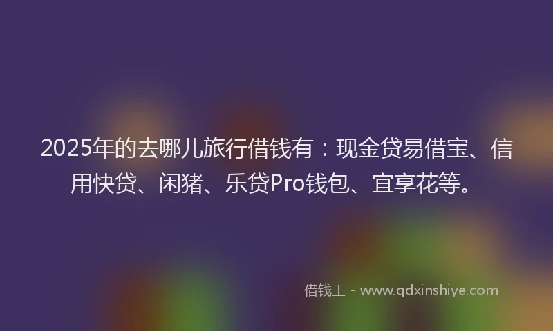 2025年的去哪儿旅行借钱有：现金贷易借宝、信用快贷、闲猪、乐贷Pro钱包、宜享花等。