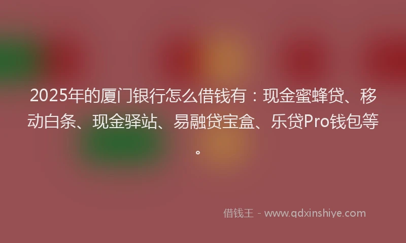 2025年的厦门银行怎么借钱有：现金蜜蜂贷、移动白条、现金驿站、易融贷宝盒、乐贷Pro钱包等。