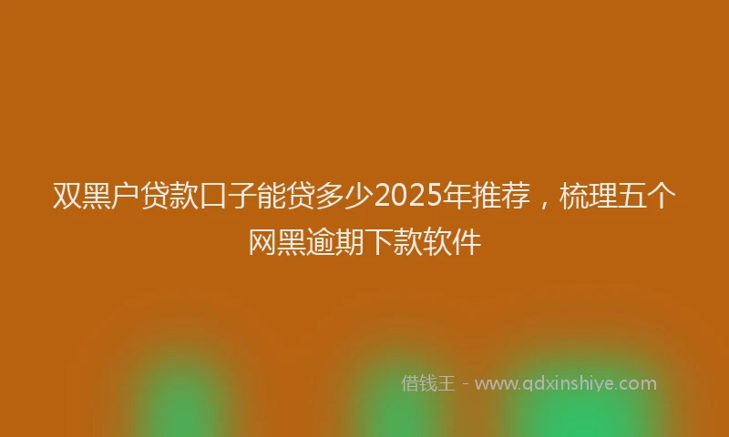 双黑户贷款口子能贷多少2025年推荐，梳理五个网黑逾期下款软件