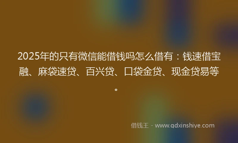 2025年的只有微信能借钱吗怎么借有：钱速借宝融、麻袋速贷、百兴贷、口袋金贷、现金贷易等。