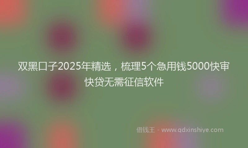 双黑口子2025年精选，梳理5个急用钱5000快审快贷无需征信软件
