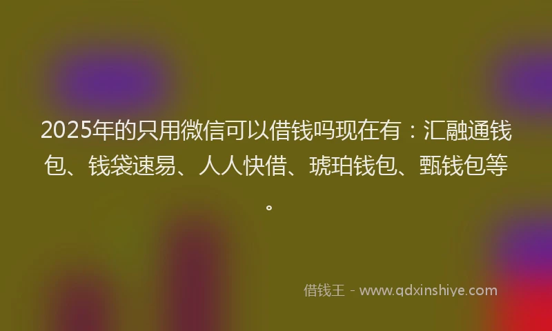 2025年的只用微信可以借钱吗现在有：汇融通钱包、钱袋速易、人人快借、琥珀钱包、甄钱包等。