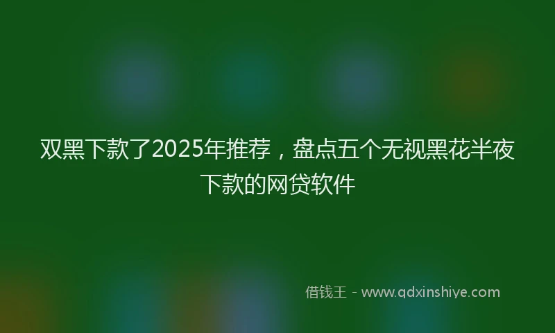 双黑下款了2025年推荐，盘点五个无视黑花半夜下款的网贷软件