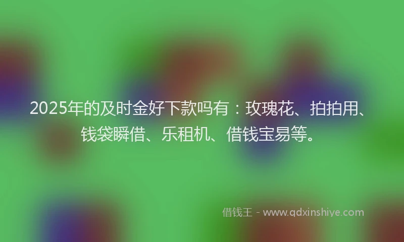 2025年的及时金好下款吗有：玫瑰花、拍拍用、钱袋瞬借、乐租机、借钱宝易等。
