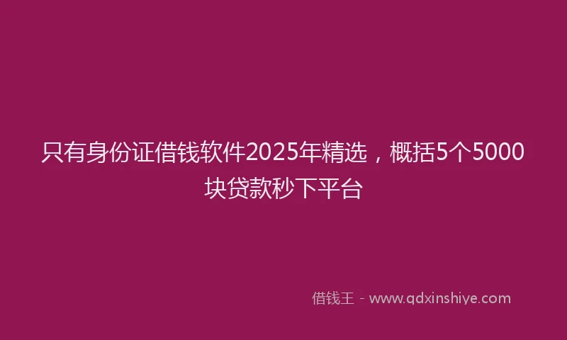 只有身份证借钱软件2025年精选，概括5个5000块贷款秒下平台