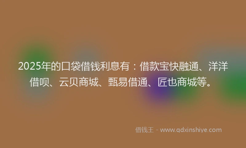 2025年的口袋借钱利息有：借款宝快融通、洋洋借呗、云贝商城、甄易借通、匠也商城等。