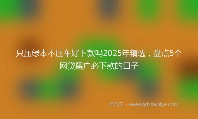 只压绿本不压车好下款吗2025年精选，盘点5个网贷黑户必下款的口子