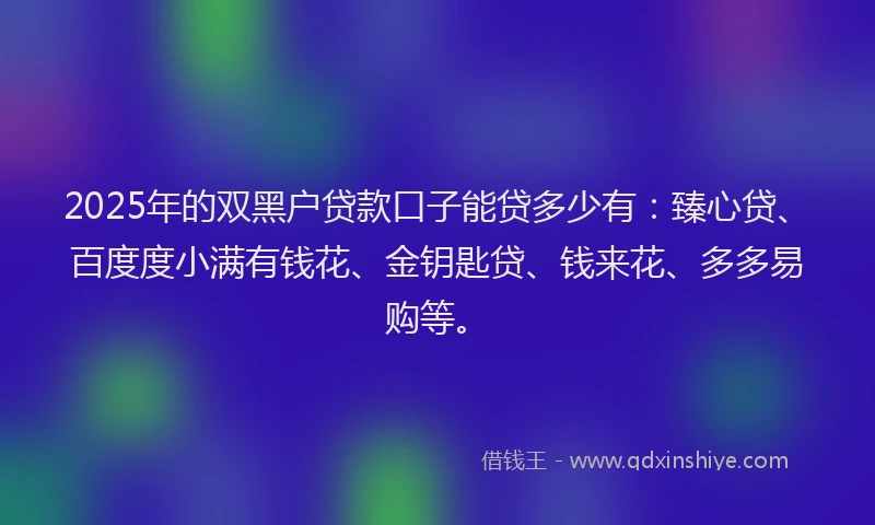 2025年的双黑户贷款口子能贷多少有：臻心贷、百度度小满有钱花、金钥匙贷、钱来花、多多易购等。