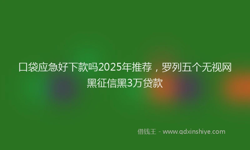 口袋应急好下款吗2025年推荐，罗列五个无视网黑征信黑3万贷款