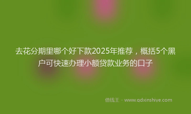 去花分期里哪个好下款2025年推荐，概括5个黑户可快速办理小额贷款业务的口子