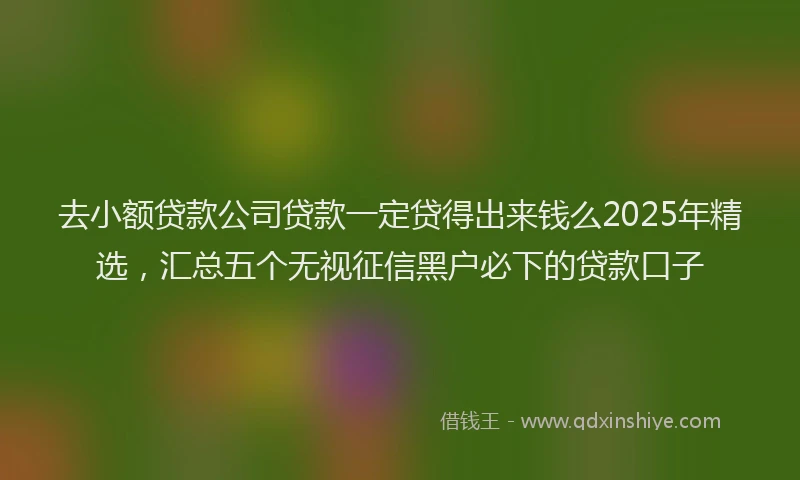 去小额贷款公司贷款一定贷得出来钱么2025年精选，汇总五个无视征信黑户必下的贷款口子