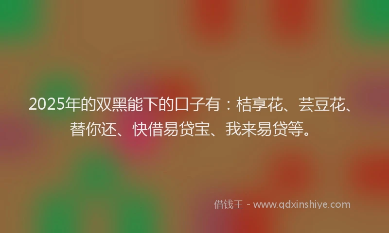 2025年的双黑能下的口子有：桔享花、芸豆花、替你还、快借易贷宝、我来易贷等。