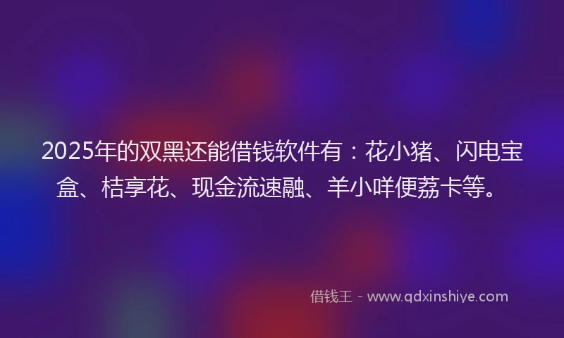 2025年的双黑还能借钱软件有：花小猪、闪电宝盒、桔享花、现金流速融、羊小咩便荔卡等。