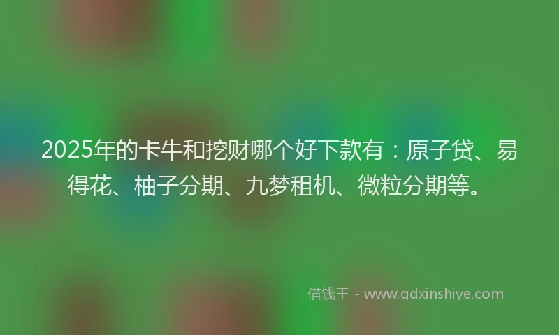 2025年的卡牛和挖财哪个好下款有：原子贷、易得花、柚子分期、九梦租机、微粒分期等。