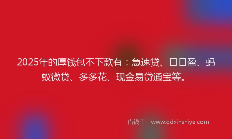 2025年的厚钱包不下款有：急速贷、日日盈、蚂蚁微贷、多多花、现金易贷通宝等。