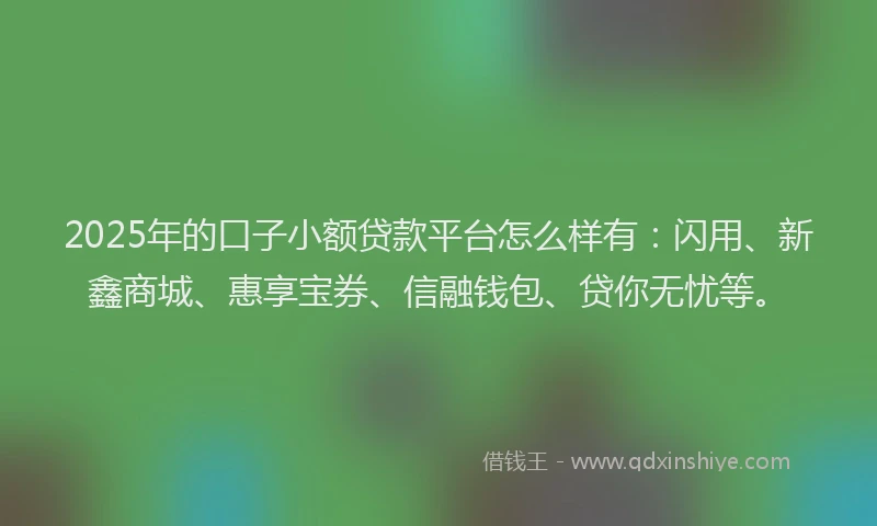 2025年的口子小额贷款平台怎么样有：闪用、新鑫商城、惠享宝券、信融钱包、贷你无忧等。