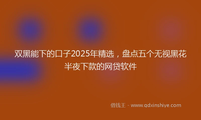双黑能下的口子2025年精选，盘点五个无视黑花半夜下款的网贷软件