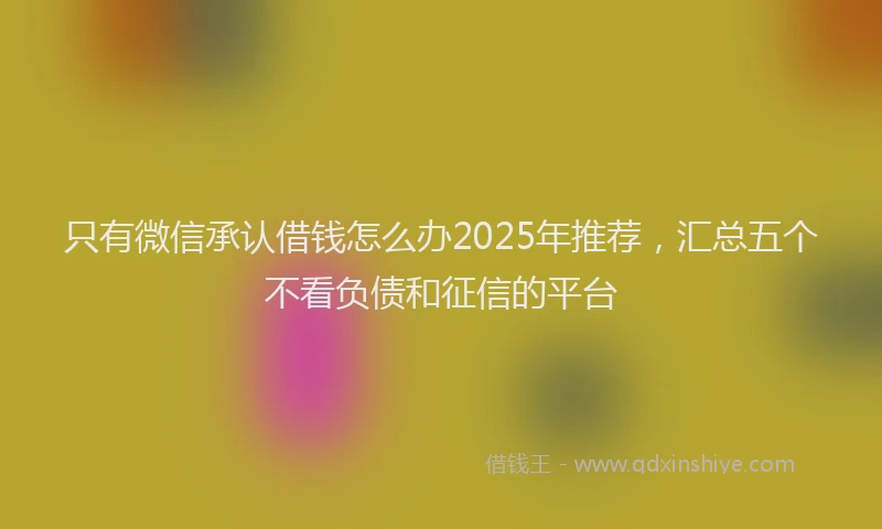 只有微信承认借钱怎么办2025年推荐，汇总五个不看负债和征信的平台