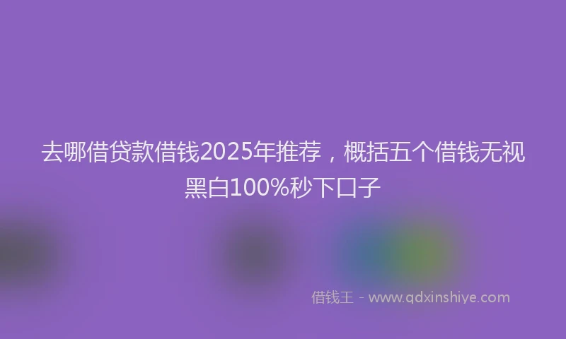 去哪借贷款借钱2025年推荐，概括五个借钱无视黑白100%秒下口子