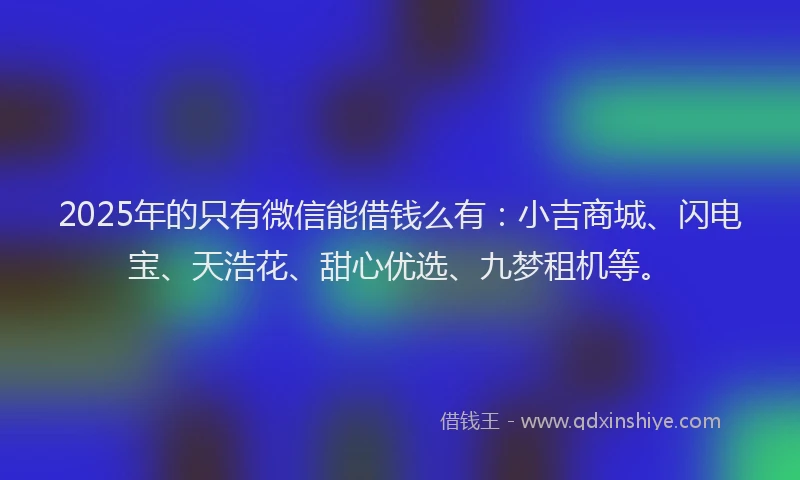 2025年的只有微信能借钱么有：小吉商城、闪电宝、天浩花、甜心优选、九梦租机等。