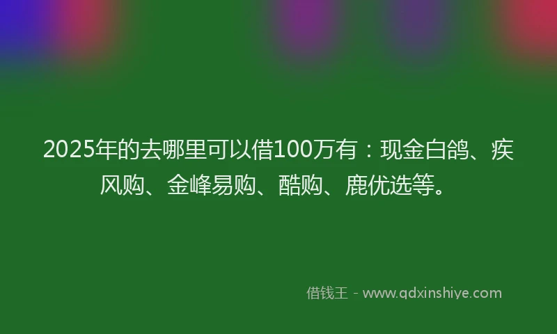 2025年的去哪里可以借100万有：现金白鸽、疾风购、金峰易购、酷购、鹿优选等。