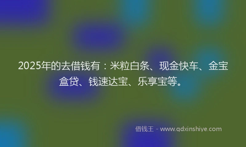 2025年的去借钱有：米粒白条、现金快车、金宝盒贷、钱速达宝、乐享宝等。