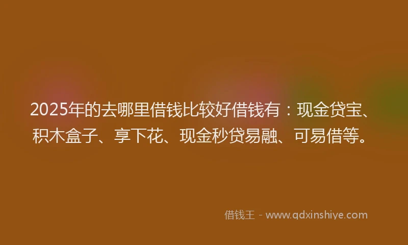 2025年的去哪里借钱比较好借钱有：现金贷宝、积木盒子、享下花、现金秒贷易融、可易借等。