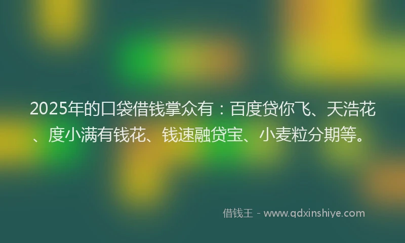 2025年的口袋借钱掌众有：百度贷你飞、天浩花、度小满有钱花、钱速融贷宝、小麦粒分期等。