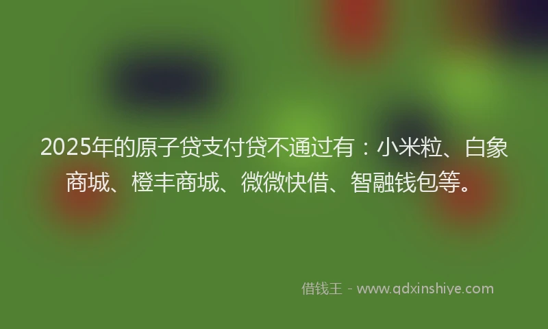 2025年的原子贷支付贷不通过有：小米粒、白象商城、橙丰商城、微微快借、智融钱包等。