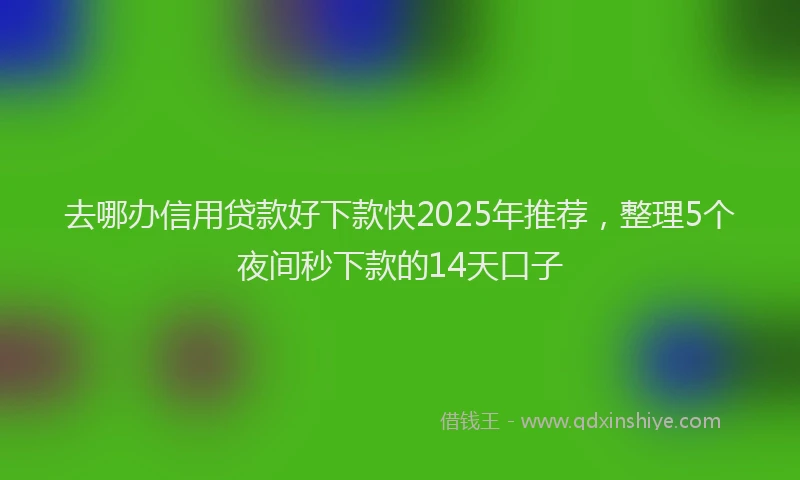 去哪办信用贷款好下款快2025年推荐，整理5个夜间秒下款的14天口子