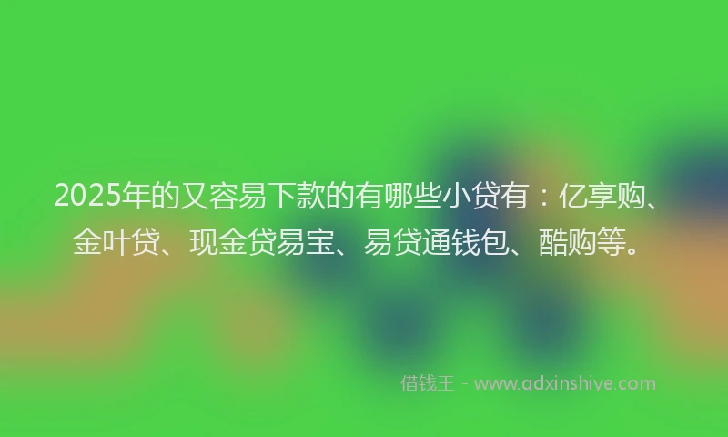 2025年的又容易下款的有哪些小贷有：亿享购、金叶贷、现金贷易宝、易贷通钱包、酷购等。