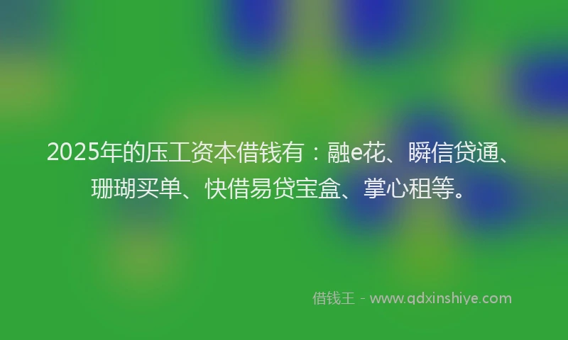 2025年的压工资本借钱有：融e花、瞬信贷通、珊瑚买单、快借易贷宝盒、掌心租等。