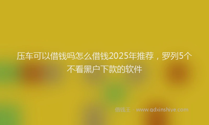 压车可以借钱吗怎么借钱2025年推荐，罗列5个不看黑户下款的软件