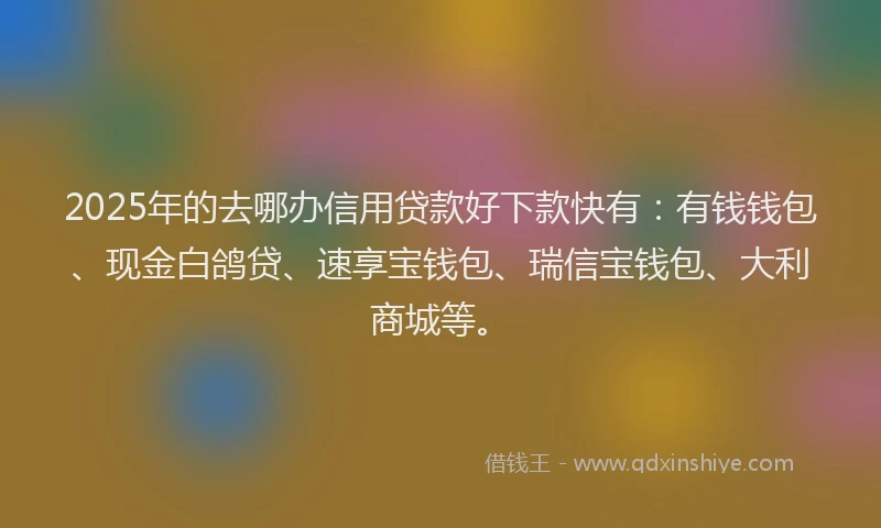 2025年的去哪办信用贷款好下款快有：有钱钱包、现金白鸽贷、速享宝钱包、瑞信宝钱包、大利商城等。