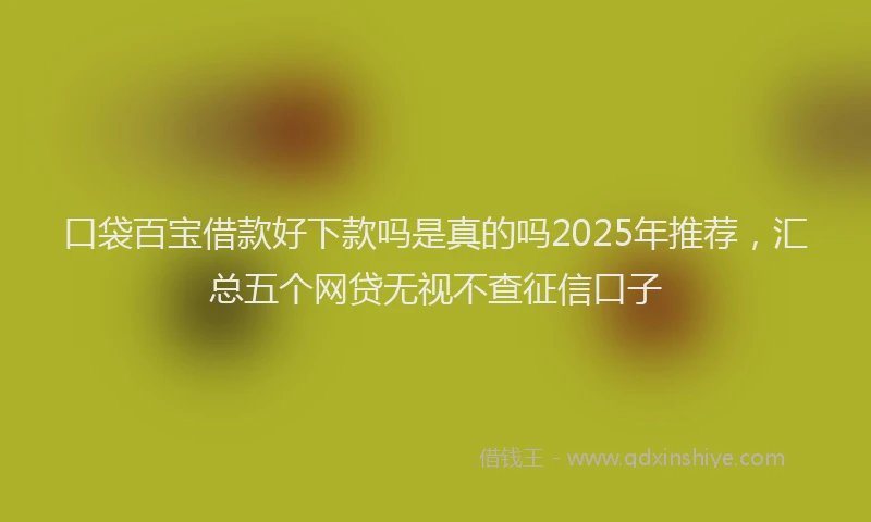 口袋百宝借款好下款吗是真的吗2025年推荐，汇总五个网贷无视不查征信口子
