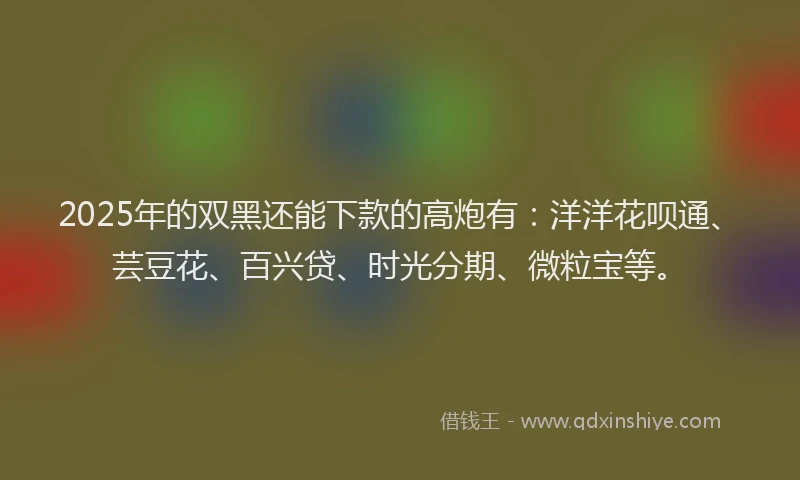 2025年的双黑还能下款的高炮有：洋洋花呗通、芸豆花、百兴贷、时光分期、微粒宝等。