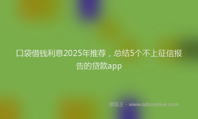 口袋借钱利息2025年推荐，总结5个不上征信报告的贷款app