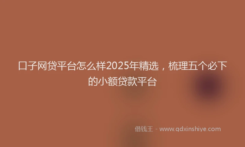 口子网贷平台怎么样2025年精选，梳理五个必下的小额贷款平台