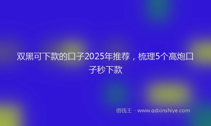 双黑可下款的口子2025年推荐，梳理5个高炮口子秒下款