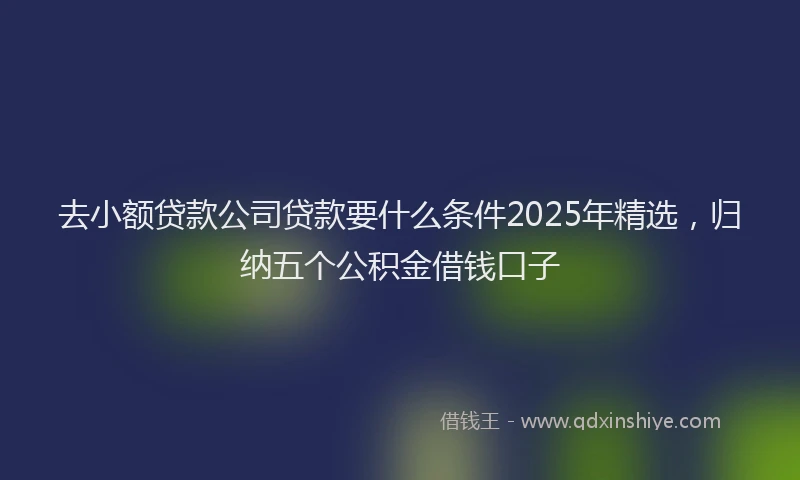 去小额贷款公司贷款要什么条件2025年精选，归纳五个公积金借钱口子