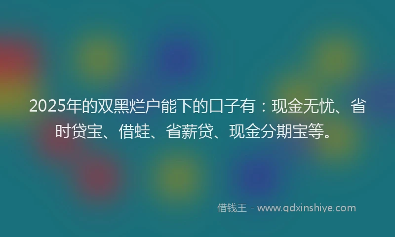2025年的双黑烂户能下的口子有：现金无忧、省时贷宝、借蛙、省薪贷、现金分期宝等。