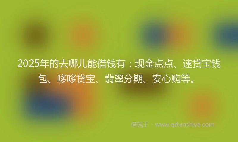 2025年的去哪儿能借钱有：现金点点、速贷宝钱包、哆哆贷宝、翡翠分期、安心购等。