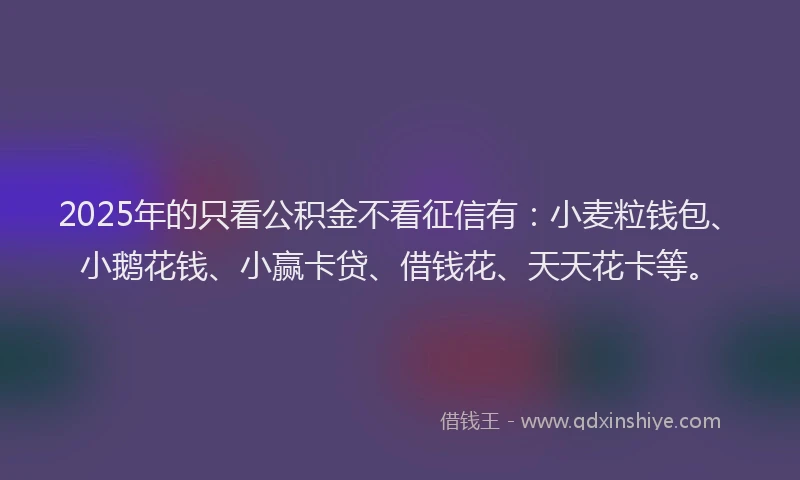 2025年的只看公积金不看征信有：小麦粒钱包、小鹅花钱、小赢卡贷、借钱花、天天花卡等。