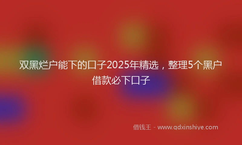 双黑烂户能下的口子2025年精选，整理5个黑户借款必下口子