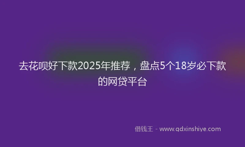 去花呗好下款2025年推荐，盘点5个18岁必下款的网贷平台