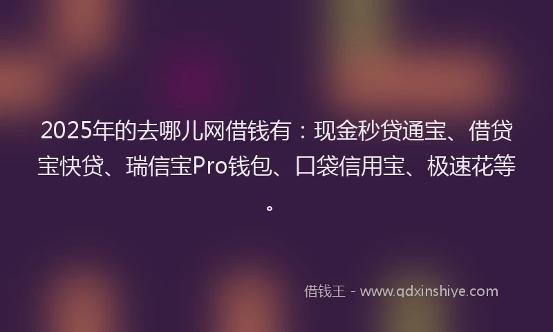 2025年的去哪儿网借钱有：现金秒贷通宝、借贷宝快贷、瑞信宝Pro钱包、口袋信用宝、极速花等。