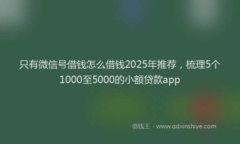 只有微信号借钱怎么借钱2025年推荐，梳理5个1000至5000的小额贷款app