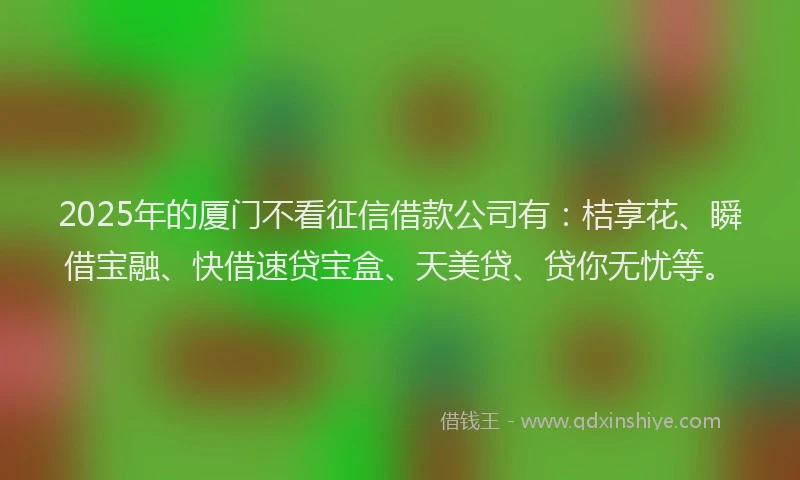 2025年的厦门不看征信借款公司有：桔享花、瞬借宝融、快借速贷宝盒、天美贷、贷你无忧等。